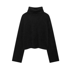 Shirley turtleneck sweater - Black